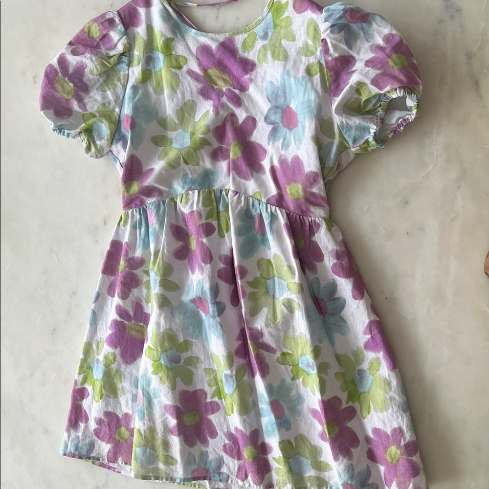 Aritzia Dress in Purple and Green